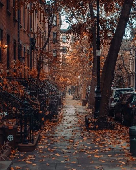 Autumn In New York, Autumn Rain, Brooklyn Heights, New York Aesthetic, Fall Mood, Autumn Scenery, Fall Pictures, Cozy Autumn, Autumn Vibes