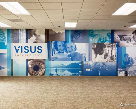 Corporate Murals Office Designs, Corporate Wall Mural, Corporate Mural, Environmental Graphic Design Wall, Productivity Wall, Company Entrance, Photo Mural Wall, Glass Film Design, Office Graphics