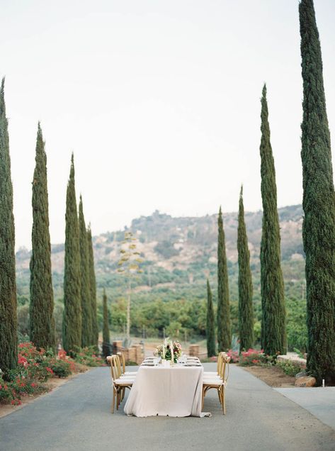 A Small Wedding Venue in San Diego is the Closest Thing to Italy | Sisti&Co. | Searching for a small wedding venue in San Diego that isn't quintessential California? We've found just the place for those dreaming of Italy in our most recent blog post. #sandiegowedding #sdweddingplanner #cordianowinery San Diego Beach Wedding, Italian Vineyard, Small Wedding Venues, Socal Wedding Venues, Tuscan Inspired Wedding, Italian Inspired Wedding, Italian Wedding Venues, Summer Editorial, San Diego Wedding Venues