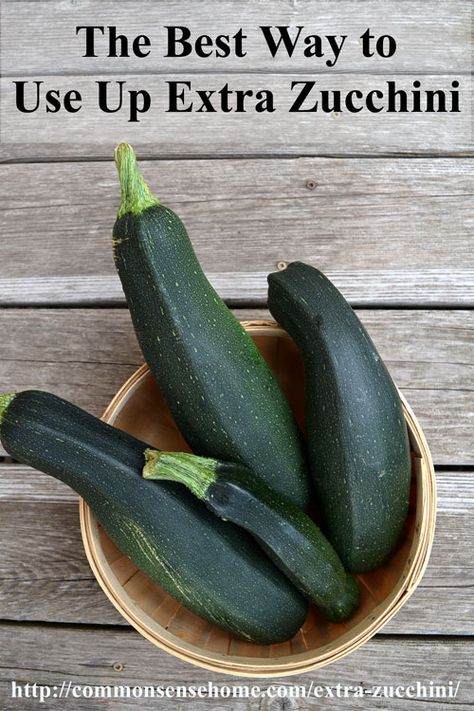 Large Zucchini Recipes, Extra Zucchini, Large Zucchini, Preserving Foods, Seasonal Eating, Can Green Beans, Zucchini Squash, Eat Seasonal, Dehydrated Food