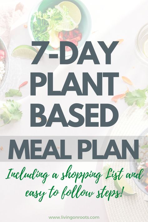 Plant Based Meal Plan, Food Rotation, Cool Food Ideas, Plant Based Meal Planning, Plant Based Meal, Plantbased Recipes, Plant Based Recipes Easy, Plant Based Foods, Plant Based Diet Recipes