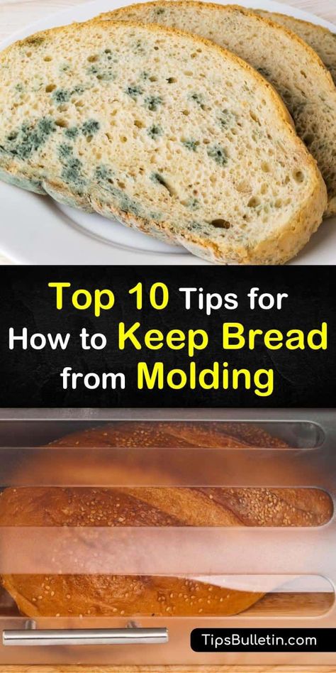 Find out the best ways to store bread to prevent it from developing mold, whether it's a whole loaf or sliced bread. At room temperature, try using a bread box or a sealed paper bag, or place your loaf of bread in the fridge or freezer. #bread #storage #mold #prevent Freezer Bread, Artesian Bread, Bread Dipping, Vegetable Benefits, Bread Slicer, How To Store Bread, Bread Mold, Sliced Bread, Bread Storage