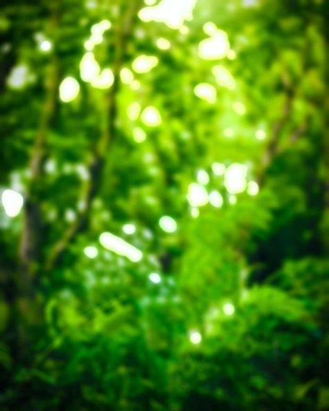 Lightroom Background Hd, Lightroom Background, Dslr Blur Background, Vijay Kumar, Nature Texture, Tree Background, Hd Background Download, Photoshop Digital Background, Background Images Free Download