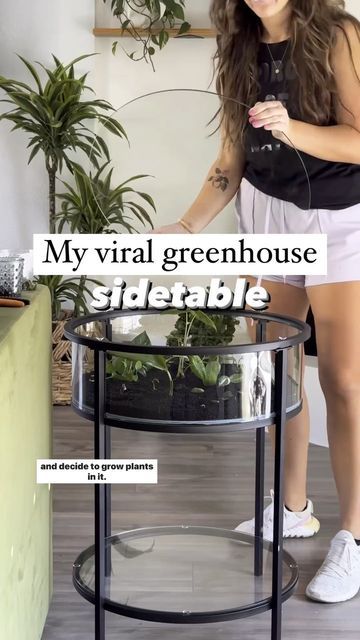 Chantel Gray | 🪴 Plants + DIY on Instagram: "Comment “side table” and I can DM you where to find everything I used here!! Also linked in profile under “greenhouse table” Here are some FAQ from my original video for creating this table! Q: Do you have to remove the top lid to provide airflow? A: Not at all! There are holes along the outsides of the table that allow airflow to enter! Because of this, it’s not perfectly airtight which will allow fresh air and movement. Q: How often does the table need to be misted? A: I created this table a few weeks ago, and have not needed to mist it yet! I’m guessing about once a month. When the stratum is damp, it’s black and glossy (almost gives caviar vibes) it doesn’t need any attention. When it’s dry it’s grayish and dusty (that’s when I’ll mist it Greenhouse Tables Diy, Blooming Table Diy, Plant Table Indoor Window, Plant Table Diy, Table Top Greenhouse, Plant Table Indoor, Greenhouse Tables, Terrarium Table, Plants Diy