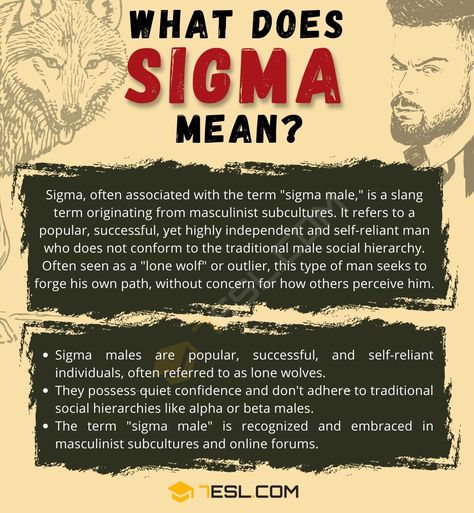 Sigma Meaning: What Does the Term Sigma Mean? How To Be Sigma Male, How To Be A Sigma Male, Infj Men, Sigma Personality, Sigma Mindset, Sigma Man, Convo Starters, Male Quotes, Sigma Males