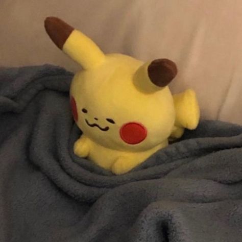 Meet your Posher, Jae Pikachu Plush, Pokemon Plush, Vacation Vibes, Kawaii Plushies, Cute Stuffed Animals, Cute Plush, Cute Pokemon, 귀여운 동물, On Vacation