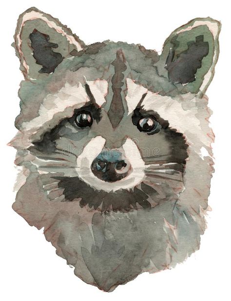 The raccoon watercolor portrait royalty free stock photos, #free, #stock, #photos, #ad Raccoon Watercolor, Watercolor Raccoon, Cute Raccoon Painting Easy, Raccoon Art Wallpaper, Racoon Painting, Raccoon Watercolor Painting, Raccoon Acrylic Painting, Watercolor Paintings Nature, Cute Paintings