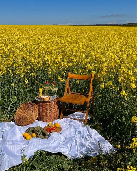 Yellow Flower Arrangements, Minimal Landscape, Picnic Decorations, Photography 101, Spring Aesthetic, Yellow Aesthetic, All Holidays, A Picnic, The Meadows