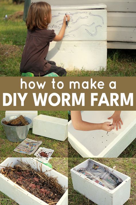 How To Make A Worm Farm, Worm Farm Diy How To Make A, Diy Worm Farm, Worm Farm Diy, Worm Beds, Farm Room, Worm Composting, Worm Farm, Earthworms