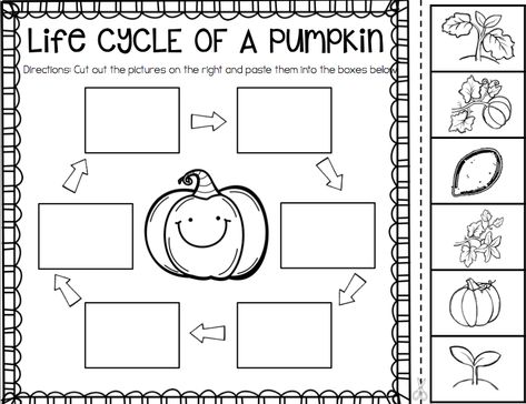 Life Cycle Of A Pumpkin, Pumpkin Lessons, Pumpkins Kindergarten, Pumpkin Science, Pumpkin Unit, October School, Pumpkin Life Cycle, 1st Grade Science, Halloween Symbols