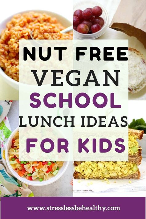 Healthy Vegan School Lunches, Vegan Lunch For School, Nut Free School Lunches For Kids, Vegan School Lunch For Kids, Vegan Lunch Box Ideas For Kids, Plant Based Lunches For Kids, Dairy Free School Lunch Ideas For Kids, Kids Vegan Lunch Ideas, Vegan Kids Lunch Box Ideas