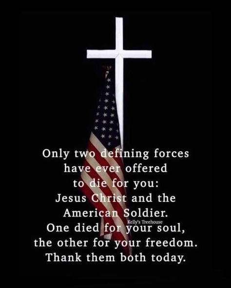 Veterans Day Quotes, Veteran Quotes, Memorial Day Quotes, Franklin Graham, Patriotic Quotes, Patriotic Pictures, American Soldier, The Soldier, I Love America