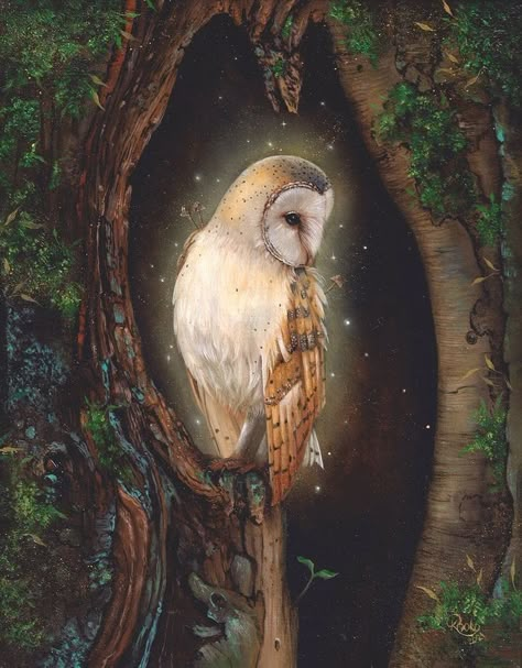 Unknown artist Magical Journal, Lisa Parker, Owl Artwork, Owl Wall Art, Art Magic, Art Night, Anthony Bourdain, Woodland Fairy, White Owl