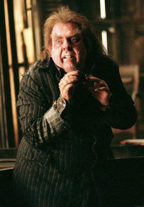 Peter Pettigrew Harry Potter, Harry Potter Games, Peter Pettigrew, Maggie Smith, Harry Potter Movies, Fantasy World, Hogwarts, Harry Potter, Fictional Characters