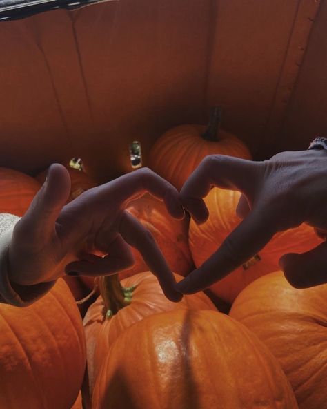 pumpkin heart private relationship Love Fall Aesthetic, Halloween Love Aesthetic, Your In Love Aesthetic, Autumn Romance Aesthetic, We Fell In Love In October Aesthetic, Fall Relationship Aesthetic, Autumn Love Aesthetic, Autumn Couple Aesthetic, Being In Love Aesthetic