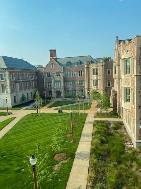 Wash U St Louis, Washu St Louis Aesthetic, Washington State University Aesthetic, St Louis University, Uw University Of Washington, University Washington, Washington University In St Louis Aesthetic, Washu St Louis, The George Washington University