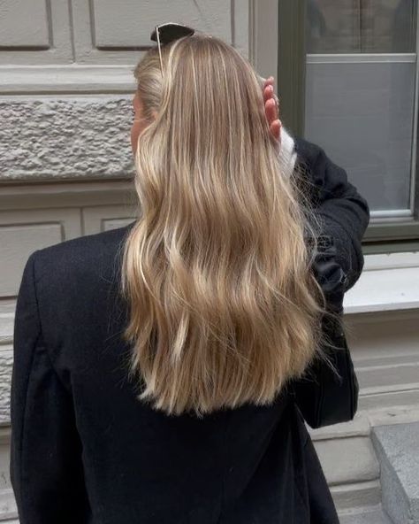 Neutral Toned Blonde Hair, Scandinavian Blonde Balayage, Dirt Blonde Hair, Blonde Hair For Winter, Light Honey Blonde Hair, Natural Golden Blonde, Winter Blonde Hair, Goldie Locks, Bombshell Hair