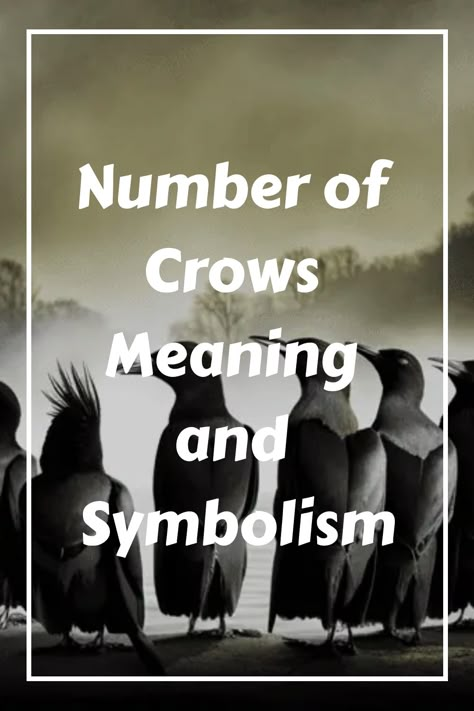 Have you ever noticed a group of crows gathered together and wondered what it meant? Or perhaps you’ve seen a lone, solitary crow perched on a nearby tree branch and pondered the mysterious symbolism associated with this bird. Like many other animals, crows have become symbolic of negative and positive elements in different cultures worldwide, making them an interesting topic to explore. In this blog post, we will try to unlock some of the secrets behind crows and their meaning in different amo Four Crows Meaning, 10 Crows Meaning, Crows Number Meaning, 7 Crows Meaning, Crow Sightings Meaning, One Crow Meaning, Crows Meaning Symbols, Three Crows Meaning, Two Crows Meaning