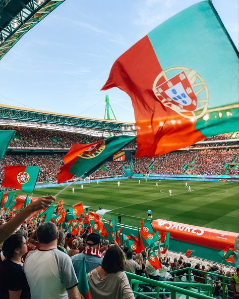 American Football Shoes, Portugal Football Team, Portugal Fc, Portugal Team, Portugal National Football Team, Cristiano Ronaldo Goals, Portugal Football, Football Aesthetic, Ronaldo Goals