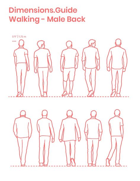 Collection of humans, men in particular, walking in back profile with various postures and stances. The average height of this group of males is set at 5’9” | 1.75 m. Both outlined and detailed silhouettes are available as useful figures for adding human scale to drawings.  Downloads online #humans #people #men #males #walking Front Facing Walking Reference, Person Walking Reference Front View, People From Behind Reference, Walking Front View, Clothing Silhouettes, Walking Drawing, Sketch Silhouette, Posture Drawing, Back Profile