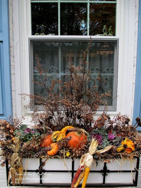 Thanksgiving Window Boxes - Just updated the kitchen and front window boxes this morning for Thanksgiving. Added more kale, gourds, dried flowers and pine cones… Fall Window Boxes, Fall Windows, Fall Containers, Window Box Flowers, Indian Corn, Seed Heads, Autumn Decorating, Pumpkin Centerpieces, Fabulous Fall