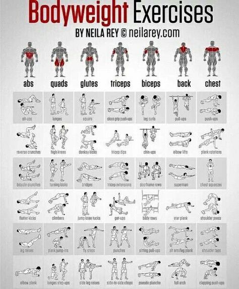 Great list of bodyweight exercises divided by muscle group. Great for a quick at home workout! Full Body Weight Workout, Gym Antrenmanları, Volleyball Workouts, Bodyweight Exercises, Workout Chart, Weights Workout, Bodyweight Workout, Weight Training, Build Muscle