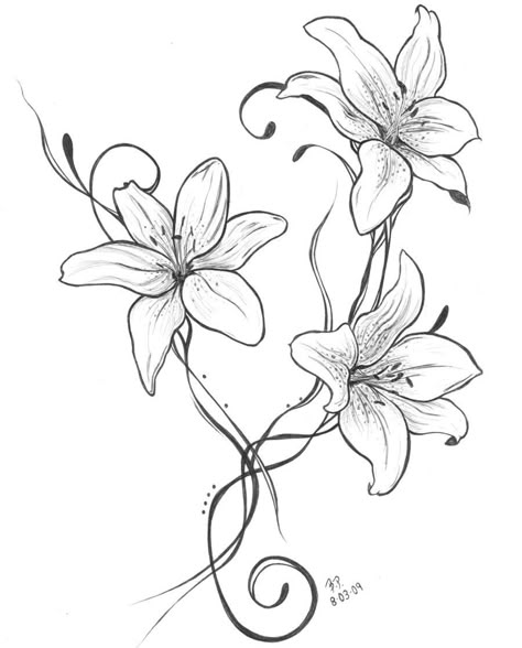 - Lilies Tattoo, Lilly Flower Tattoo, Lily Tattoo Meaning, Lillies Tattoo, Lily Tattoo Design, Lilies Drawing, Lily Flower Tattoos, Flower Tattoo Shoulder, Lily Tattoo