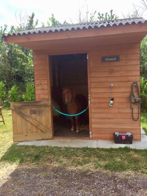 Pony Stable Ideas, Pony Stall Ideas, Pony Enclosure, Small Stable Ideas, Shetland Pony Stable, Mini Horse Barn, Horse Barn Ideas, Miniature Horse Barn, Animal Language