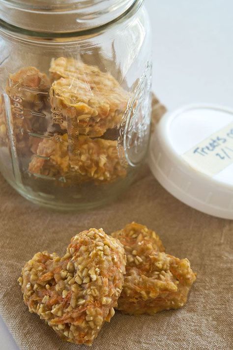 Carrot Oat Applesauce Treats for Dogs and Horses Organic Dog Treats Recipe, Flavored Biscuits, Homemade Horse Treats, Homemade Dog Cookies, Dog Biscuit Recipes, Easy Dog Treats, Healthy Dog Treats Homemade, Dog Treats Homemade Recipes, Diy Dog Treats