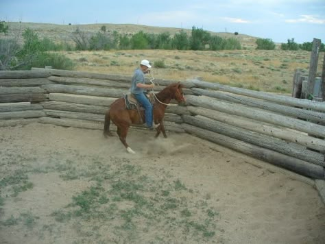 Click this image to show the full-size version. Round Pen Ideas For Horses, Cheap Horse Arena Ideas, Diy Round Pen For Horses Cheap, Pallet Round Pen, Diy Riding Arena, Cheap Round Pen For Horses, Diy Round Pen For Horses, Diy Horse Arena Cheap, Round Pen Ideas