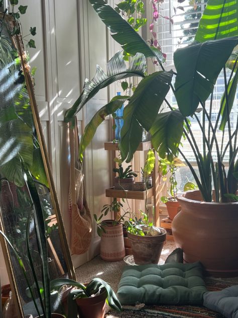 House Full Of Plants Aesthetic, Plant Mom Aesthetic Room, Plant Bathroom Aesthetic Dark, Plant And Crystal Room Aesthetic, Messy Plant Room Aesthetic, Earth Fairy, Weird Furniture, Ur Mom, Simple Aesthetic