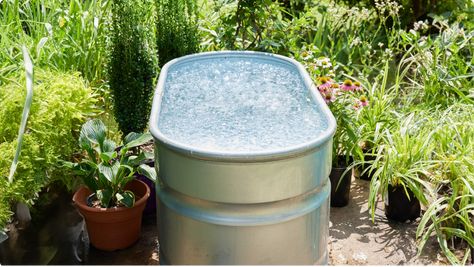 Ice Bath Tub Diy, Cold Plunge Aesthetic, Diy Cold Plunge Tub, Diy Cold Plunge, Cold Plunges, Cold Plunge Tub, Cold Plunge, Ice Bath, Ice Baths