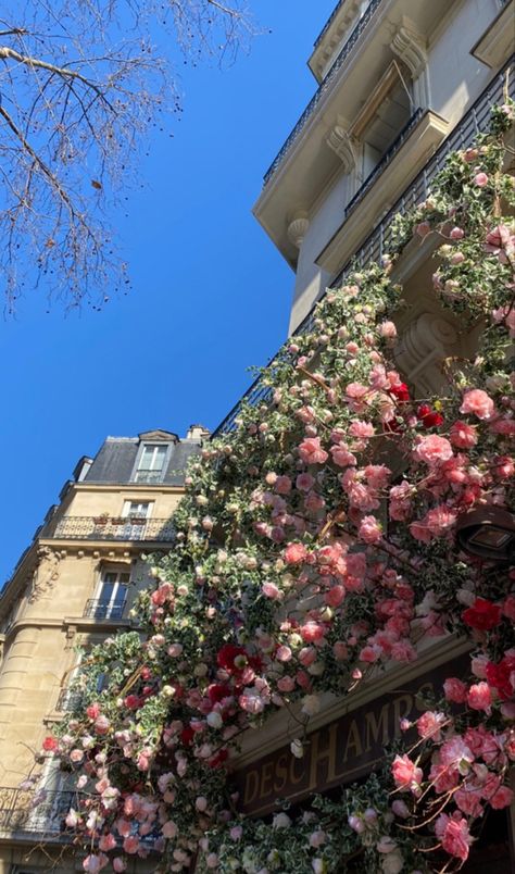 Rebecca + Core + Aesthetic, Flower Core, Dior Girl, Money Flowers, Victorian Aesthetic, Parisian Life, Aesthetic Flower, Nothing But Flowers, Cottage Core Aesthetic