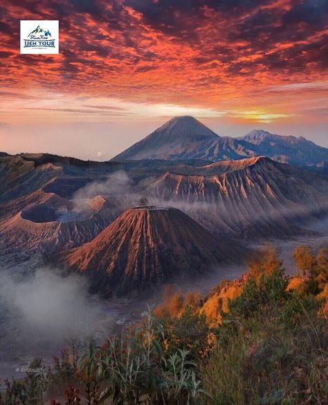 East java hosts so many amazing places that you must put on your travel list before you travel to Indonesia. Check our blog and get ready to visit East Java. Mount Bromo, East Java, Sopot, Beautiful Places To Travel, Travel Insurance, Beautiful Photography, Nature Pictures, Java, Wonders Of The World