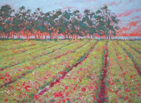 Oxnard California, Ages Of Man, Strawberry Field, Field Paint, Strawberry Fields Forever, Sale Sign, Strawberry Garden, Garden Drawing, Eucalyptus Tree