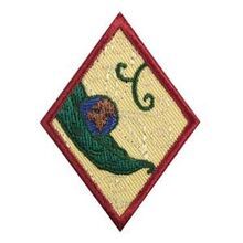 New Cuisines (Cadette badge) | Scouts Honor Wiki | Fandom Cadette Girl Scout Badges, Cadette Badges, Scout Patches, Girl Scouts Cadettes, Girl Scout Patches, Girl Scout Badges, Scout Badges, Skill Building, Scout Leader