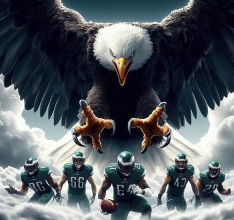 Superbowl Ideas, Philadelphia Eagles Wallpaper, Eagles Wallpaper, Eagles Philadelphia, Chiefs Wallpaper, Eagle Decor, Philadelphia Eagles Logo, Philly Eagles, Philadelphia Eagles Football