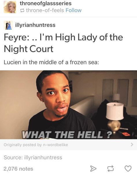 Feyre And Lucien Funny, Lucien And Feyre Friendship, Lucien And Helion Acotar, Lucien And Feyre, Feyre And Lucien, Acotar Tamlin And Lucien, Lucien Acotar Fanart, Lucien Acotar, Acotar Feyre And Rhysand Memes