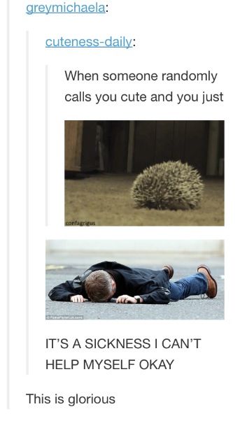 John Lock, Rupert Graves, Benedict And Martin, Mrs Hudson, Sherlock Fandom, Sherlock 3, High Functioning, A Hedgehog, Sherlock Benedict