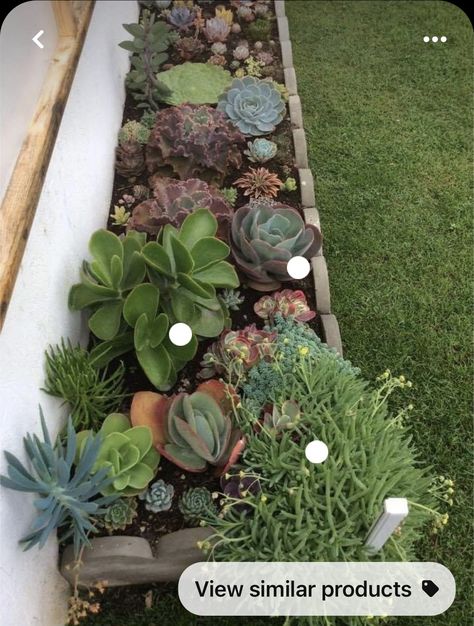 Succulent Backyard, Modern Backyard Garden, Pool Garage, Cabinets Bedroom, Succulent Garden Landscape, Tattoo Garden, Front Flower Beds, Garden Nails, Garden Tattoos