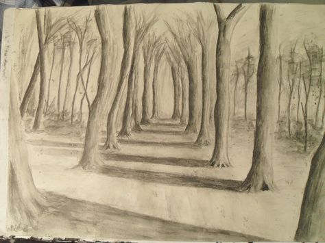 Drawing a forest in perspective 1 Point Perspective Drawing, Teenage Books, 2 Point Perspective Drawing, Three Point Perspective, Angry Quote, 1 Point Perspective, Plant Sketches, Forest Drawing, One Point Perspective