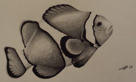 Realistic Fish Drawing, Textiles Gcse, Drawing Pin, Reference Pics, Clownfish, Fish Drawings, Clown Fish, Pencil Drawing, Pencil Drawings