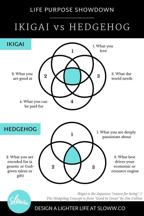 The Truth about Ikigai: Definitions, Diagrams & Myths | Sloww Jim Collins, Life Path Number, Engineering Gifts, Good To Great, Coaching Tools, Mental Training, Light Of Life, Life Path, Thinking Skills