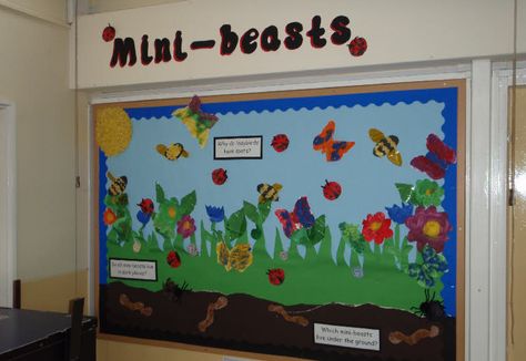 Minibeasts from Mrs L. McEneaney Minibeast Classroom Display, Eyfs Minibeasts, Minibeast Display, Insects Craft, Preschool Displays, Cactus Classroom Decor, Childminding Ideas, Word Wall Displays, Display Board Ideas