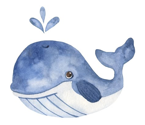 This beautiful watercolour Whale Wall Sticker is perfect for a little ones nursery, bedroom or playroom. Choose from 2 different sizes to fit your requirements - if you would like a slightly different size just drop us a message Printed on high quality Peel N Stick PVC FREE Polyester Fabric Or as a standard gloss vinyl sticker. * Clean Trouble Free Installation (instructions provided) * Vibrant Printed image * Printed with environmentally friendly latex inks * PVC FREE IMPORTANT Make sure your w Whale Watercolour, Whale Watercolor, Watercolor Whale, Whale Art, Nursery Wall Stickers, Watercolor Stickers, Washable Paint, Wall Stickers Bedroom, Wall Stickers Kids