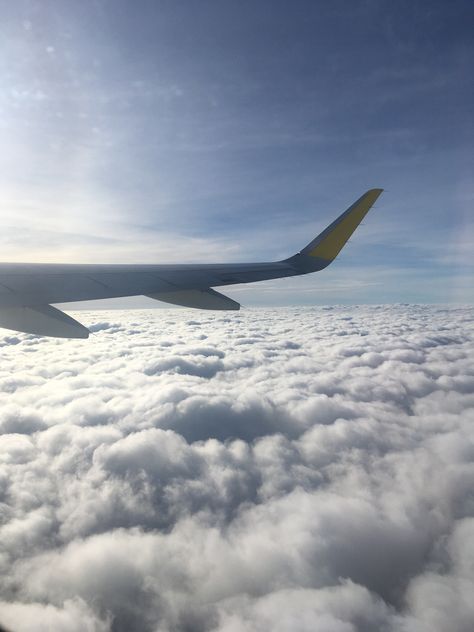 Cebu Pacific Airplane Window, Cebu Pacific Airplane, Philippine Airlines, Cebu Pacific, Airplane Window, Airplane Travel, Window View, Just Video, Cebu