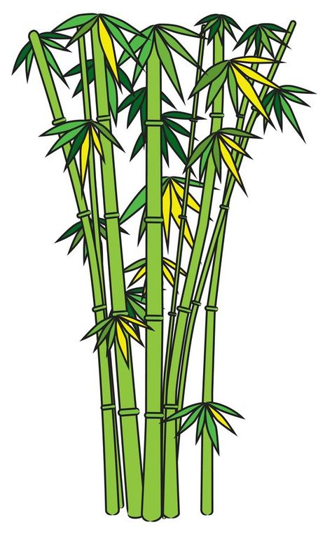 How to Draw Bamboo -- via wikiHow.com Bamboo Drawing Simple, Bamboo Image, Bamboo Drawing, Painting Bamboo, Bamboo Landscape, Tree Drawings Pencil, Drawing Tutorials For Beginners, Bamboo Bathroom, Bamboo Art