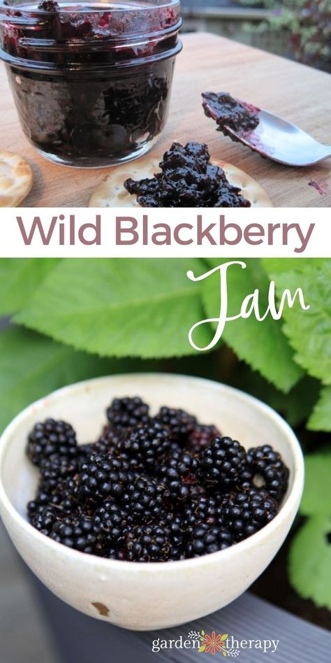 Healthy Blackberry Jam, Low Sugar Blackberry Jam For Canning, Spicy Blackberry Jam, Fresh Blackberries Recipes, Wild Blackberry Jam, Wild Blackberry Recipes, Blackberry Jam Recipe Easy, Fresh Blackberry Recipes, Sugar Free Blackberry Jam