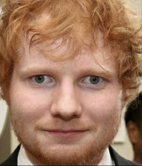 Ed Sheeran Memeable Face, Ed Shareen Cursed, Edd Sheran Memes, Ed Sherman, Rory Core, Ed Sheeran Memes, Ed Sheeran Facts, Pink Lifestyle, Funny Profile