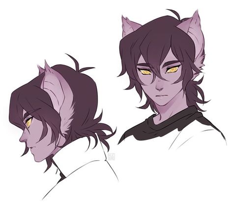 Galra Keith, Voltron Galra, Voltron Force, Form Voltron, Voltron Ships, Voltron Fanart, Voltron Klance, Poses References, Voltron Legendary Defender